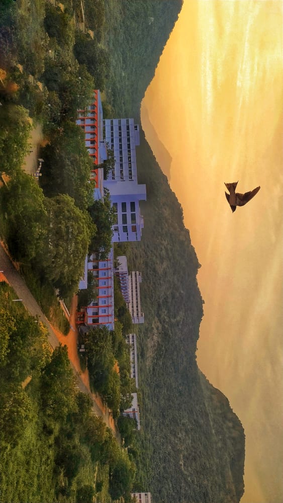 Arulmigu Kalasalingam College of Pharmacy | Pharmacy College